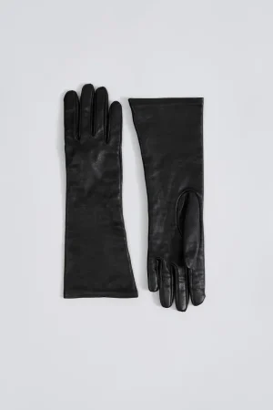 New Nora gloves Accessories